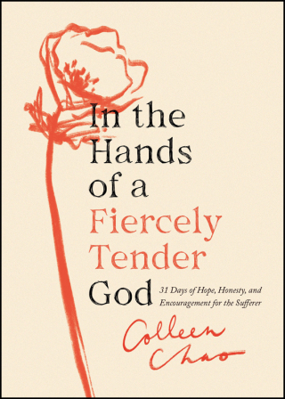 Cover image: In the Hands of a Fiercely Tender God 9780802429902