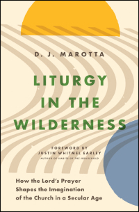 Cover image: Liturgy in the Wilderness 9780802428561