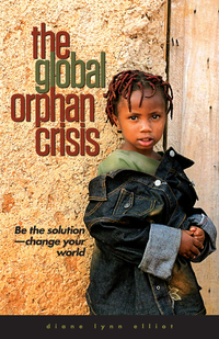 Cover image: The Global Orphan Crisis: Be the Solution, Change Your World 9780802409546