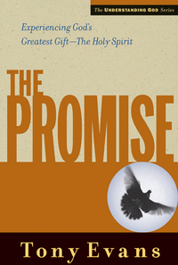 Cover image: The Promise 9780802448521