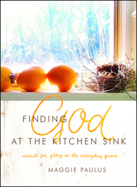 Cover image: Finding God at the Kitchen Sink: Search for Glory in the Everyday Grime 9780802411808