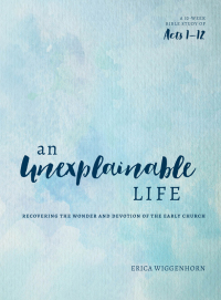 Cover image: An Unexplainable Life 9780802414731