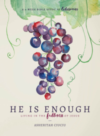 Cover image: He is Enough 9780802416865