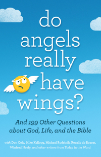 Imagen de portada: Do Angels Really Have Wings? 9780802418586