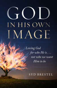 Omslagafbeelding: God in His Own Image 9780802419033