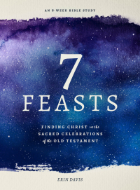 Cover image: 7 Feasts 9780802419552