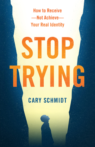 Imagen de portada: Stop Trying 9780802419989