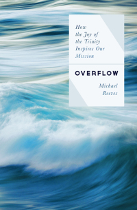 Cover image: Overflow 9780802422613