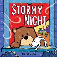 Omslagafbeelding: Stormy Night 1st edition 9781681191652