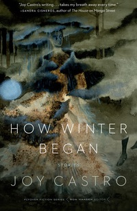 Cover image: How Winter Began 9780803276604