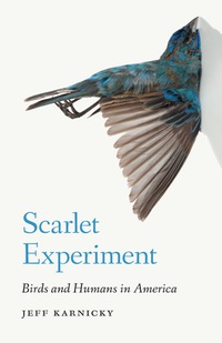 Cover image: Scarlet Experiment 9780803294981