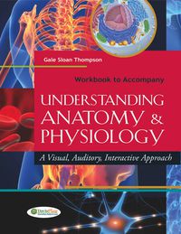 Cover image: Workbook to Accompany Understanding Anatomy & Physiology: A Visual, Auditory, Interactive Approach 9780803622883