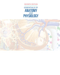 Cover image: Essentials of Anatomy and Physiology 7th edition 9780803639577