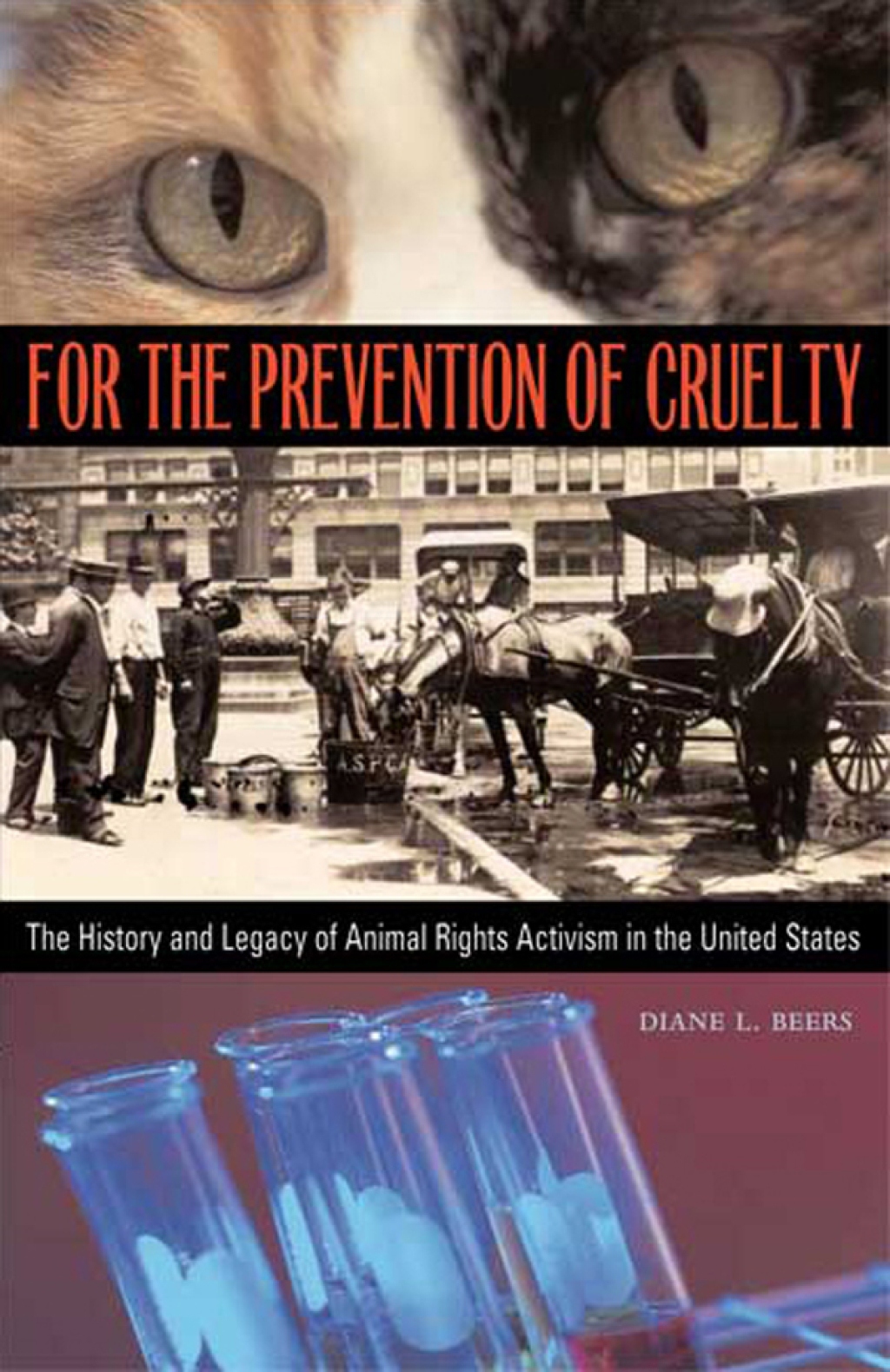 For the Prevention of Cruelty The History and Legacy of Animal Rights Activism in the United States 1st Edition
