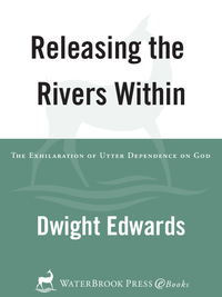 Cover image: Releasing the Rivers Within 9781578564606