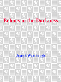 Cover image: Echoes in the Darkness 9780553269321