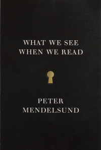 Cover image: What We See When We Read 9780804171632