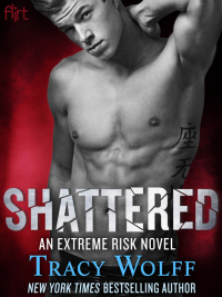 Cover image: Shattered