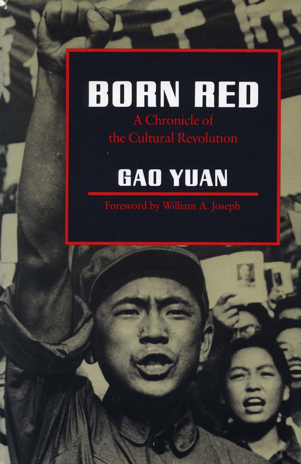 Born Red A Chronicle of the Cultural Revolution 1st Edition