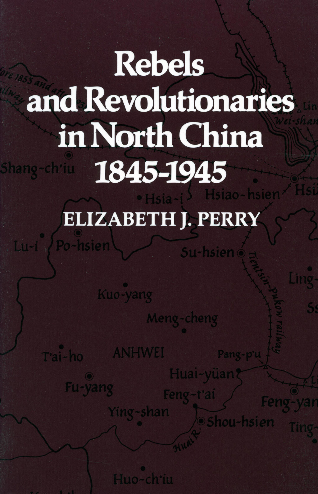 Rebels and Revolutionaries in North China, 1845-1945 1st Edition