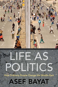 Cover image: Life as Politics 1st edition 9780804769242