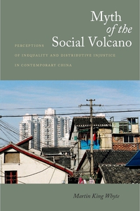 صورة الغلاف: Myth of the Social Volcano 1st edition 9780804769419
