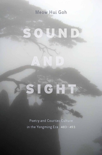 Cover image: Sound and Sight 1st edition 9780804768597