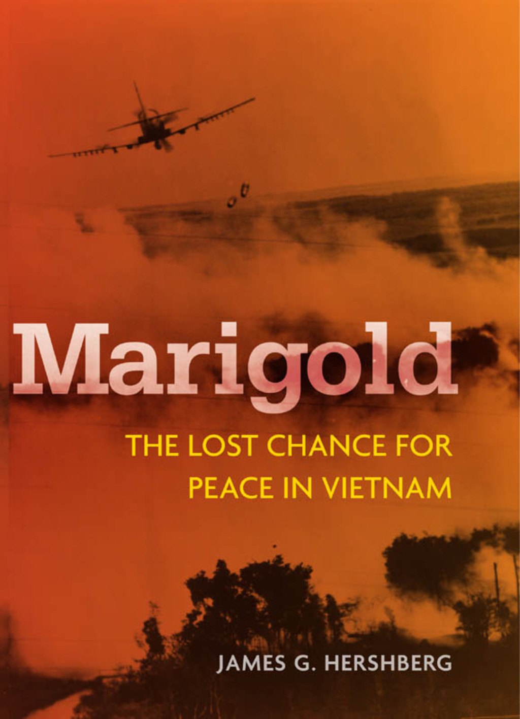 Marigold The Lost Chance for Peace in Vietnam 1st Edition