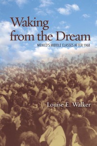 Cover image: Waking from the Dream 1st edition 9780804781510