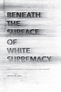 صورة الغلاف: Beneath the Surface of White Supremacy 1st edition 9780804795197