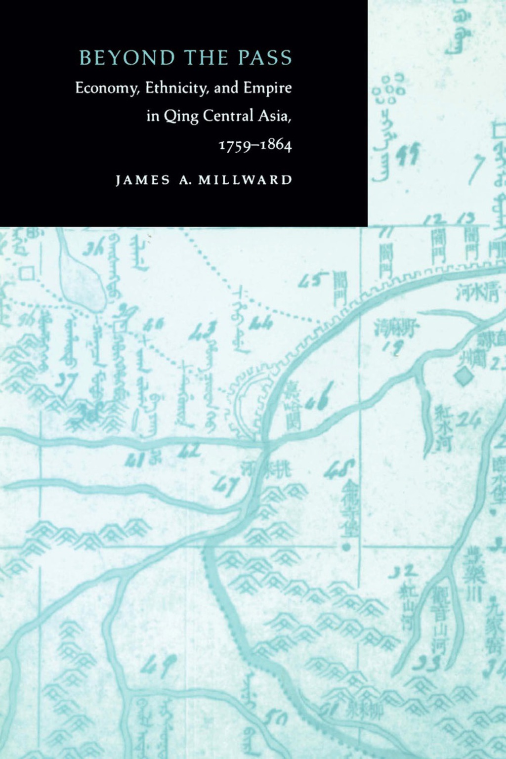 Beyond the Pass Economy, Ethnicity, and Empire in Qing Central Asia, 1759-1864 1st Edition