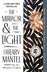 Cover image: The Mirror & the Light 9780805096606