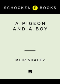 Cover image: A Pigeon and a Boy 9780805212143