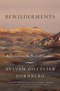 Cover image: Bewilderments 9780805243048