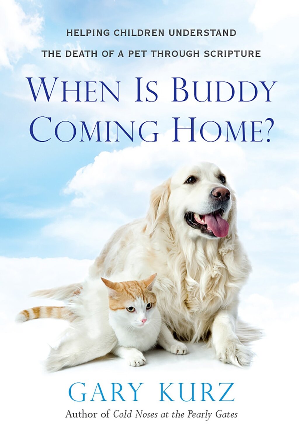 When Is Buddy Coming Home? (eBook)