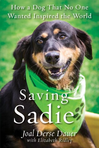 Cover image: Saving Sadie 9780806538389