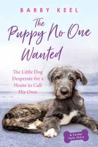Cover image: The Puppy No One Wanted 9780806541143