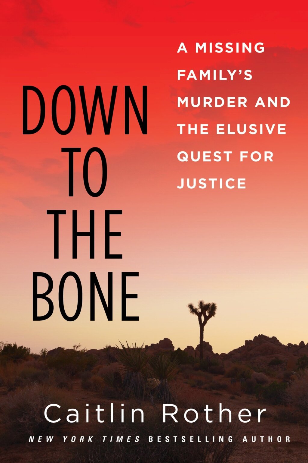 Down to the Bone A Missing Family’s Murder and the Elusive Quest for Justice