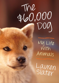Cover image: The $60,000 Dog 9780807001875