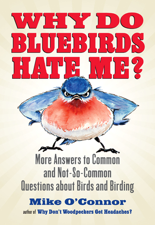 Cover image: Why Do Bluebirds Hate Me? 9780807012536