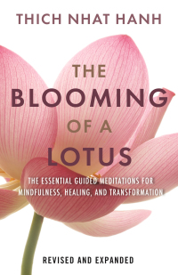 Cover image: The Blooming of a Lotus 9780807017876