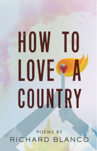 Cover image: How to Love a Country 9780807025918
