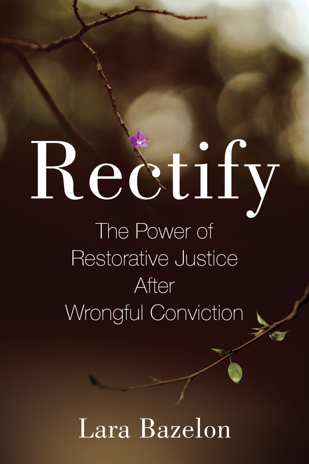 Rectify (eBook)