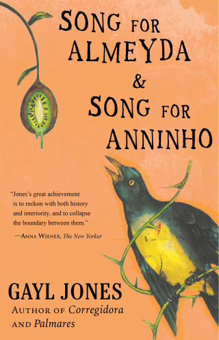 Cover image: Song for Almeyda and Song for Anninho 9780807029909