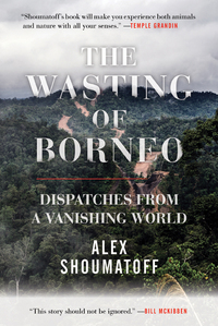 Cover image: The Wasting of Borneo 9780807078242