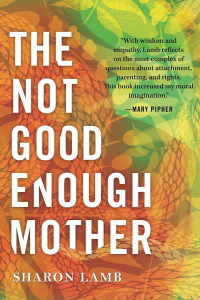 Cover image: The Not Good Enough Mother 9780807082461