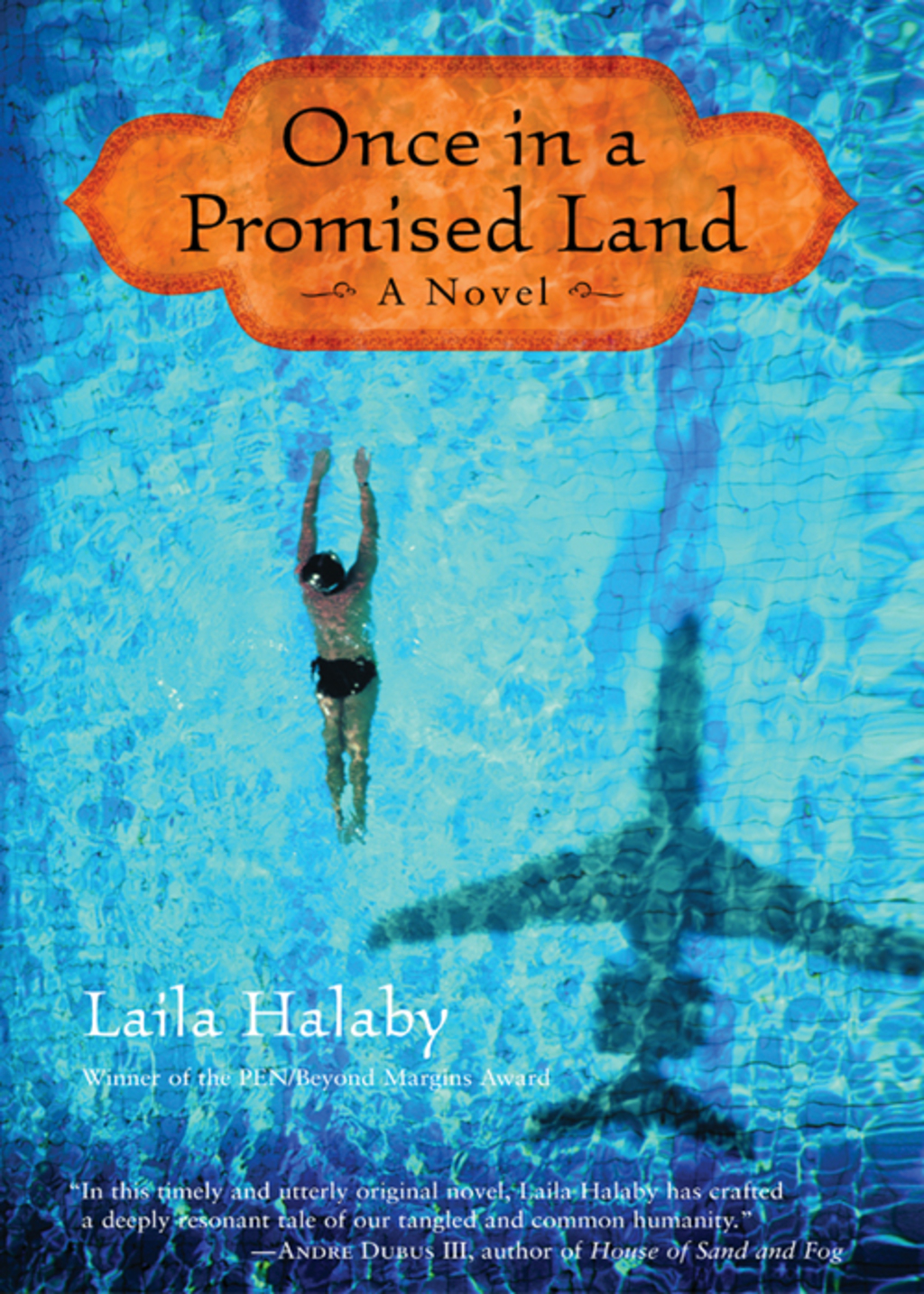 Once in a Promised Land A Novel