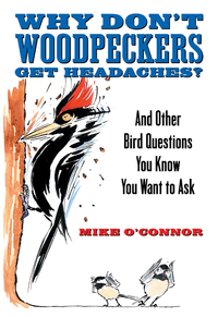Cover image: Why Don't Woodpeckers Get Headaches? 9780807085745