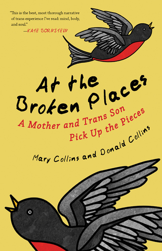 Cover image: At the Broken Places 9780807088357