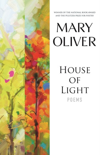 Cover image: House of Light 9780807068113